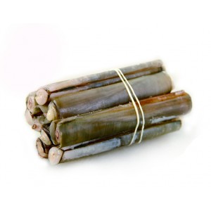 Pakistan Razor Clam