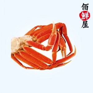 加拿大雪蟹