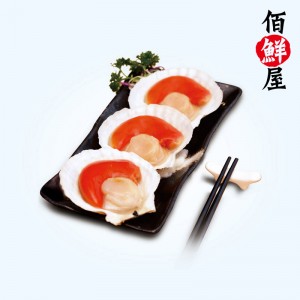 北海道半壳扇贝